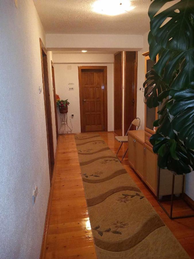Apartment Little Village Plav Dış mekan fotoğraf
